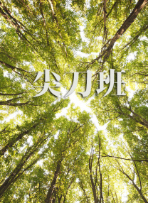 秘密的背后电视剧全集免费播放